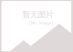 泉山区迷失工程有限公司